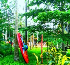 Chikmagalur resort & homestay garden